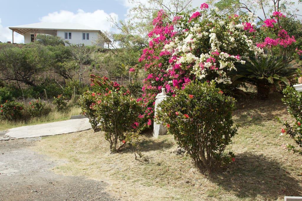 Appartement Vacances Goyave Cap Chevalier Εξωτερικό φωτογραφία