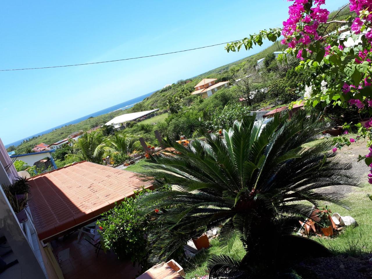 Appartement Vacances Goyave Cap Chevalier Εξωτερικό φωτογραφία